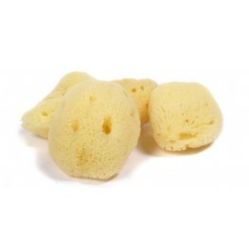 SV Filipinsk natursvamp til ansiktet (Ø 5cm)